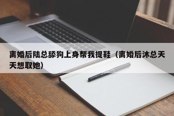 离婚后陆总舔狗上身帮我提鞋(离婚后沐总天天想取她)