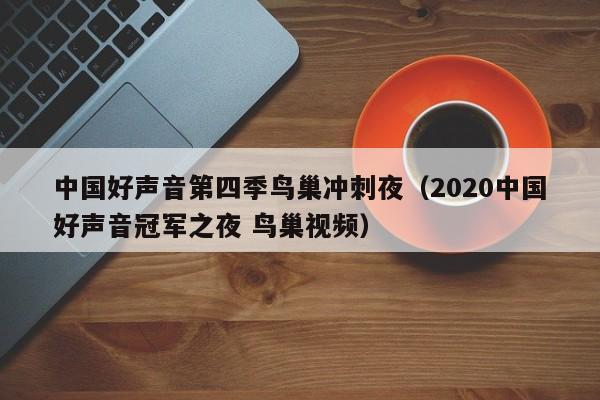 中国好声音第四季鸟巢冲刺夜（2020中国好声音冠军之夜 鸟巢视频）