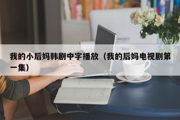我的小后妈韩剧中字播放（我的后妈电视剧第一集）