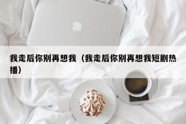 我走后你别再想我(我走后你别再想我短剧热播)